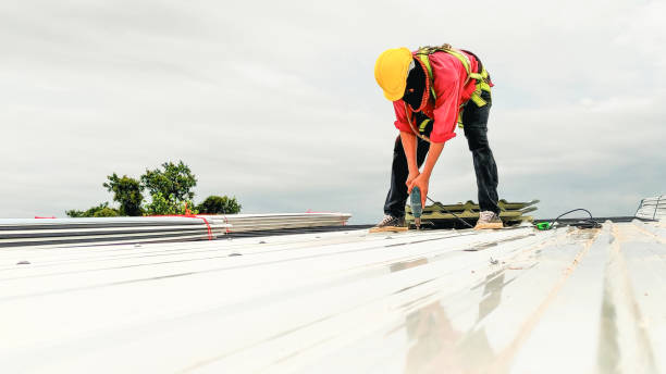 Best Asphalt Shingles Roofing  in Au Sable, MI
