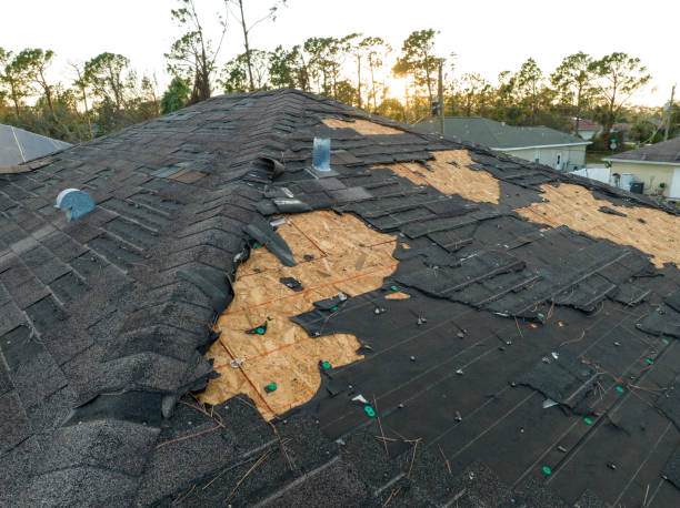 Gutter Replacement in Au Sable, MI