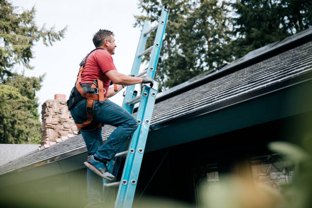 Best Roof Moss and Algae Removal  in Au Sable, MI